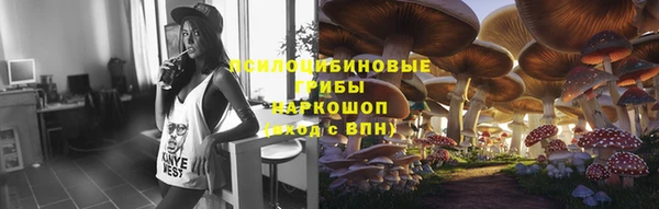 меф Сясьстрой