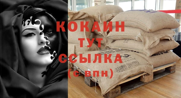 эйфоретик Тавда