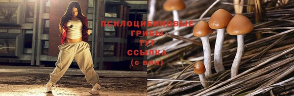 эйфоретик Тавда